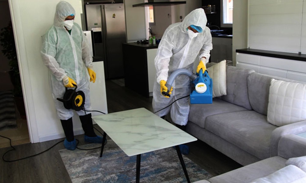 Sanitization and Disinfection Services