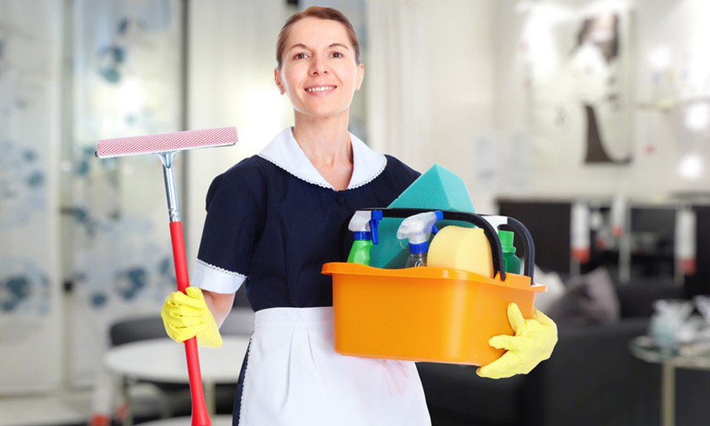 Housemaid Services